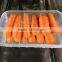 Customizable High Quality With Absorbent Pads Plastic Meat Packaging Trays