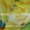 printed silk chiffon fabric,Satin chiffon fabric wholesale for dress