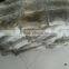 Real Natural Rex Rabbit Fur Plate / Skin