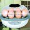 CE approved electric baby plastic chicken egg boiler
