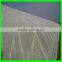 Dense Small Net anti Insect Netting Crop Veg Protection