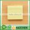 regular sticky notes