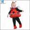 High quality animal baby costume carnival                        
                                                Quality Choice