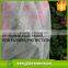 Non Woven Fruit Tree Covers/OEM Custmized PP Nonwoven Fabric/tnt Non-woven Banana/Grape Factory in China