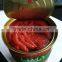 canned tomato paste(double concentrated ,Brix:28-30%,24-26%,22-24%,18-20%)
