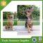 Resin Life Size Dog Statues For Home Decoration