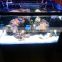 AQL Light Aquarium Reef Light LED 120W 60cm / 24" for SPS and LPS