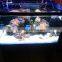 AQL Light 180W programmable 3ft sunrise and sunset led aquarium light looking for distributors