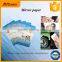 Factory production and sales Mirror Cast Coated Paper                        
                                                Quality Choice