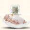 Intermittent Operation Voice Broacast Sphygmomanometer