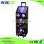 Double 10 inch karaoke bluetooth lighting amplifier speaker with EQ