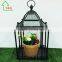 Freestanding Metal Wardian Case Indoor Greenhouse Garden Planter