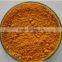 GMP factory supply polygonum cuspidatum extract