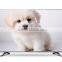 Newest Products 50inch 4K UHD led TV