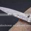 promotion gift of professional folding knife with clip, portable outdoor pocket knife