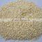 dried/ dehydrated garlic products