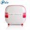 Car Mini Fridge 220V 12V Portable Mini Refrigerator Semiconductor 12V/220V 4L Fridge