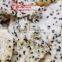 Dried Fruit Chips High Quality For Sale- Cheap Price- Good For Health