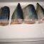 China Factory sell custom health mackerel canned seafood with all size