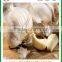 shandong jinxiang fresh and frozen Best quality white garlic