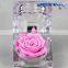 Fresh Guarantees Preserved Natural Roses Romantic gift In Glass