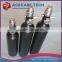 360cc-3000PSI CO2 gas cylinder, aluminum alloy gas cylinder, frosting surface