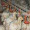 automatic chicken nipple drinking system for broiler