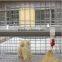 Design Layer Chicken Cages For Uganda Poultry Farm