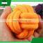 Promotional dog plush teeth toy soft accessory wholesale Factory