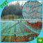 2015 brand new agricultural pe net hdpe bird netting for Vineyard grape planting
