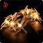 Dragonfly warm white aa battery operated fairy light string