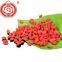 Goji fruitNingxia dried goji berry