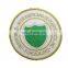 custom wholesale polyester embroidered patches for clothes