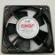 CNDF