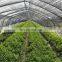 Agro shade net price indonesia agriculture