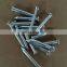 Electro Galvanized Concrete Steel Nail