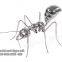 Stainless Steel Ant Sculpture Stainless Steel Flame Sculpture Electroplating & Mirror Shining