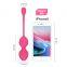 Remote Vibrator Love Egg Clitoris Stimulator Kegel Balls for Tightening Vaginial Tightener Silicone Exerciser Bladder Control Devices for Women