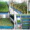 Hydroponic fodder machine / Barley sprout machine