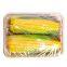 Customized Logo Rectangle Fruit Tray vegetable Dishes Bagasse Sugarcane Molded Fiber Meat Tray