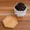 Factory Wholesale Guangdong Potted Plants Ceramic Indoor Home Flower Pots & Planters Hexagon Bonsai Pots
