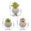 Genuine Wholesale Decorative Plant Bonsai Ornament Mini Set Plants Potted Artificial Succulent Plants With Pot