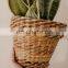 MIni Beautiful woven wicker plant holder basket small seagrass planter pot basket Wholesale