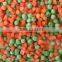 IQF frozen mixd vegetable