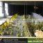 2015 hot sale Philippines poultry feeding line