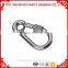 Carabiner snap hook with screw din5299 form D