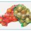 factory wholesale onion mesh bags
