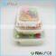 ~ Apple Shape 2 layers lunch box set for school with spoon
