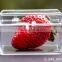 Transparent plastic box storage box square specimen collection box storage box ZYD-LJ006
