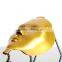 AYJ-F17pdt led therapy beauty machine